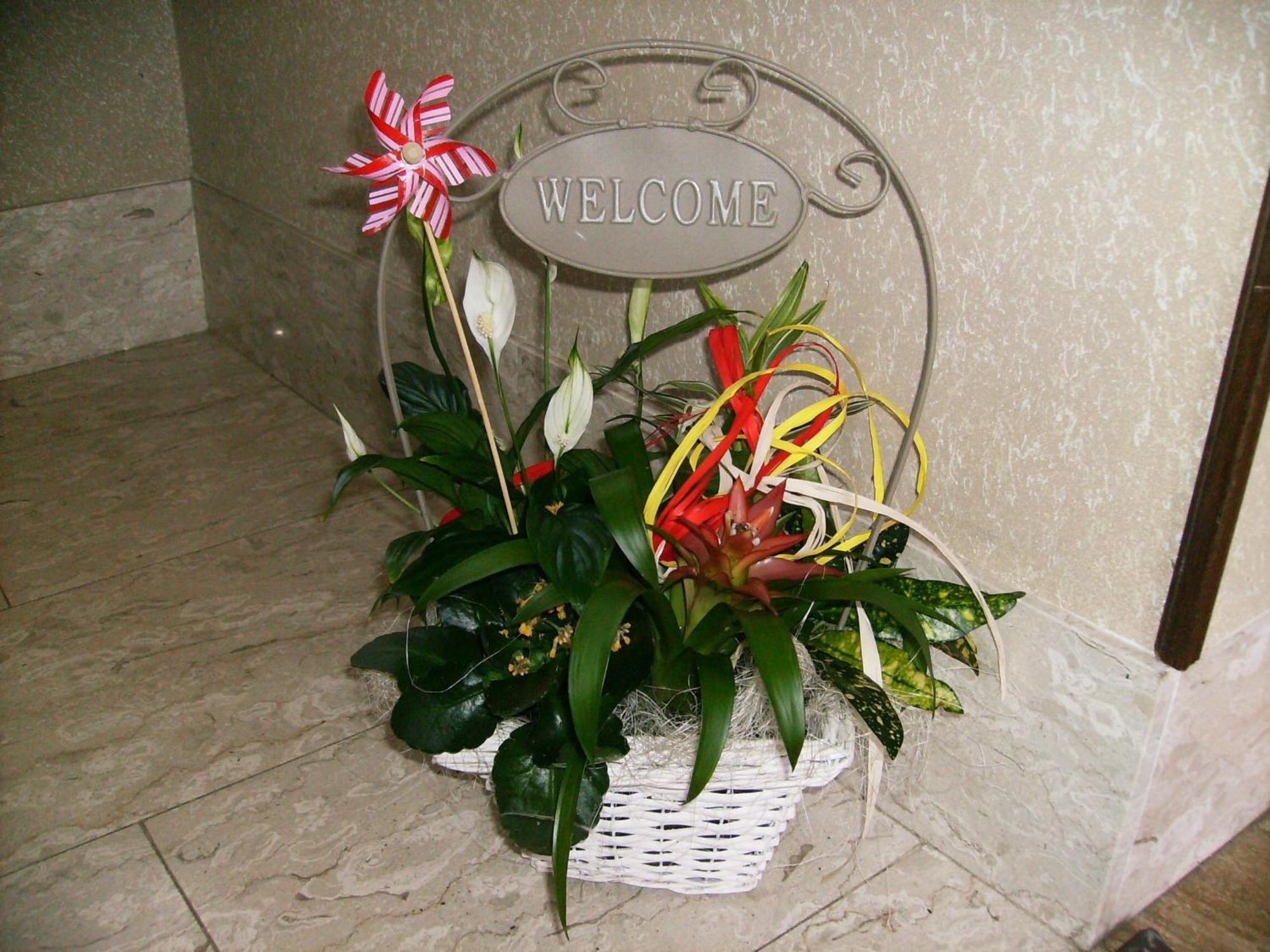 Bed and Breakfast Il Barucin Villar San Costanzo Экстерьер фото